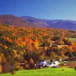 Ridgefield CT Community Information