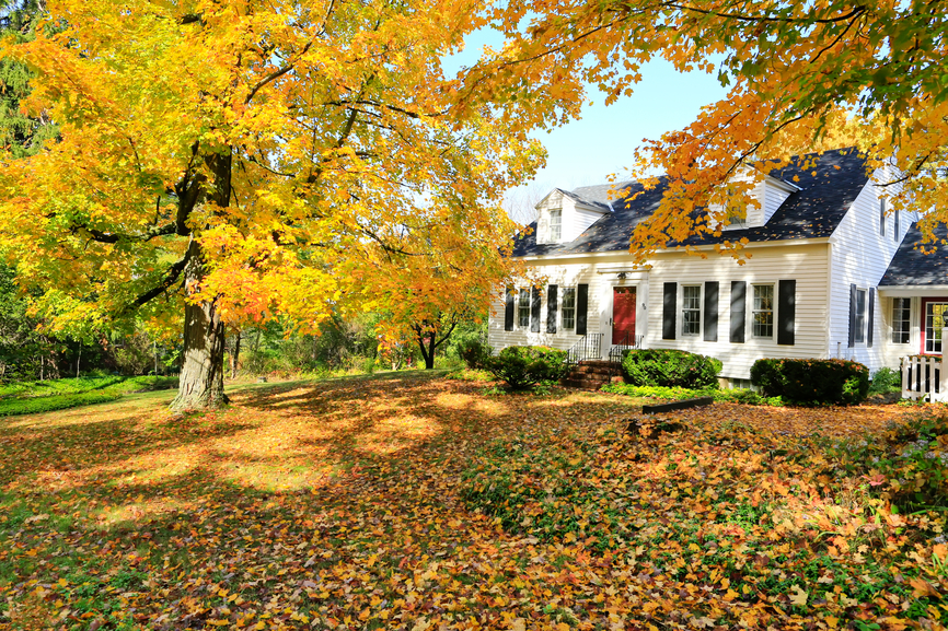 Remodeling Your Ridgefield House
